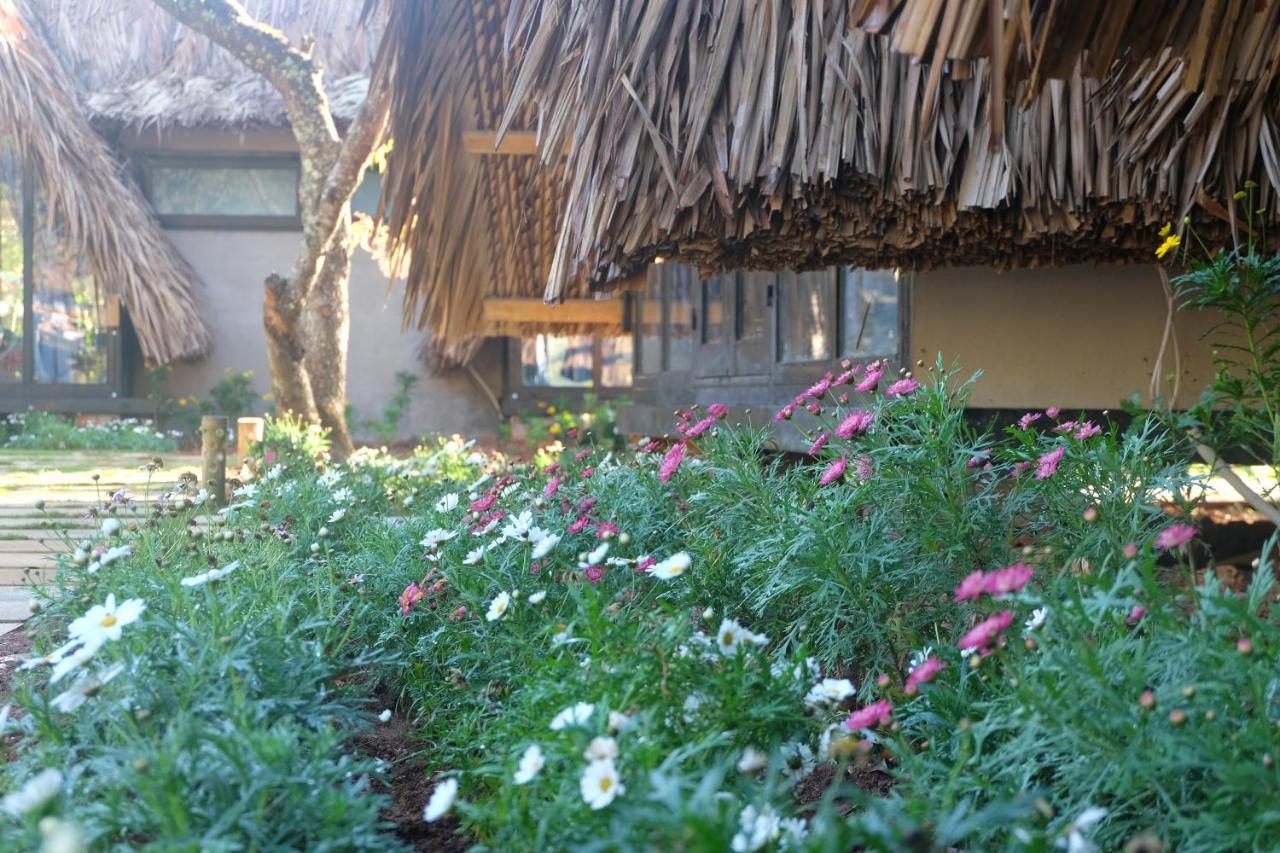 L'Amant Homestay Далат Экстерьер фото