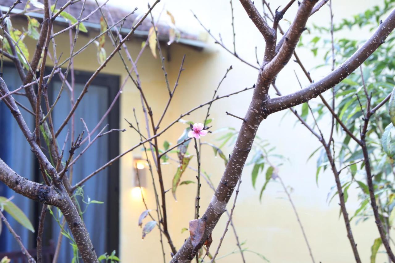 L'Amant Homestay Далат Экстерьер фото