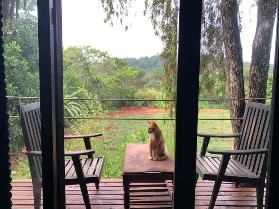 L'Amant Homestay Далат Экстерьер фото